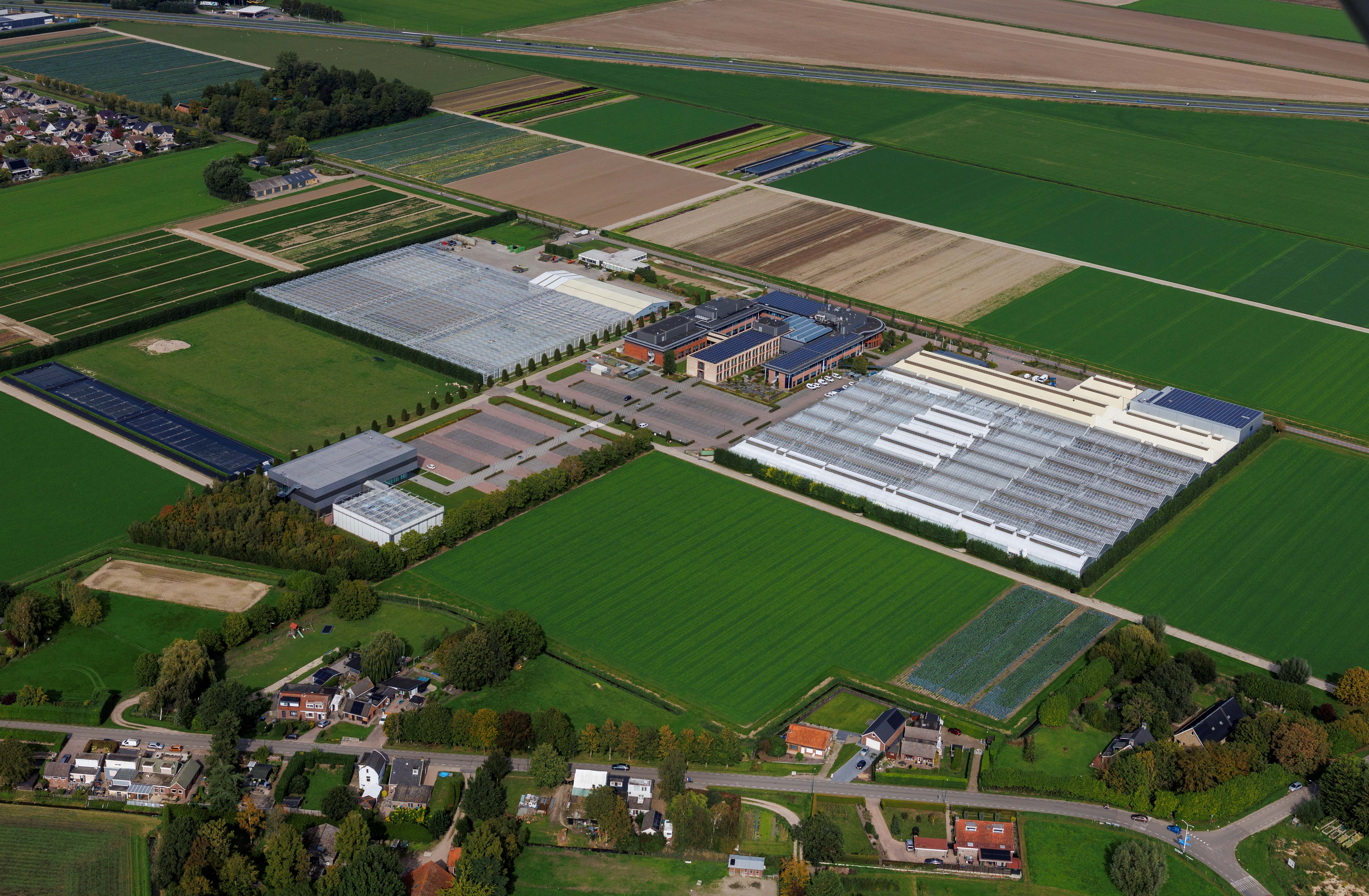 Nieuw kantoor en nieuwe kassen voor Rijk Zwaan.