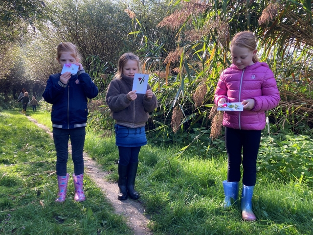 schoolprogramma beverpad biesbosch