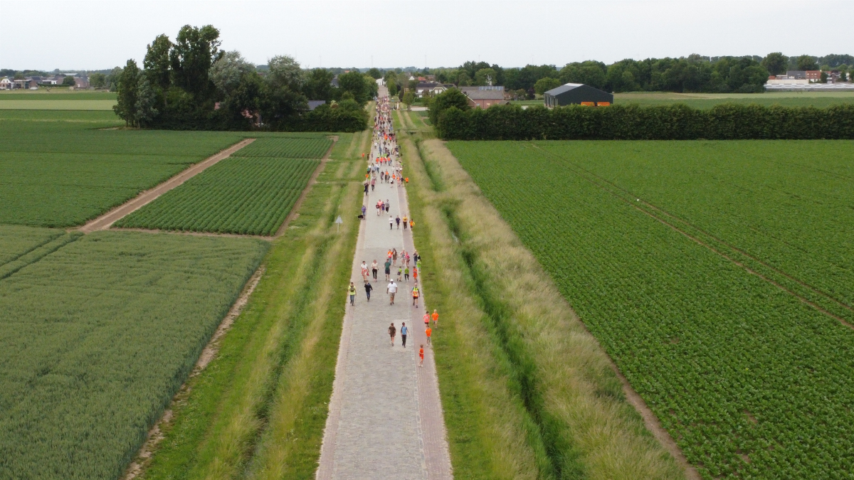 Fijnaartse Avondvierdaagse