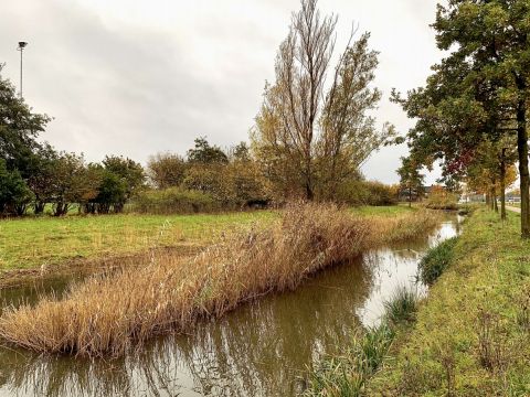 Herfst in de Westkreek / Jan Gorter