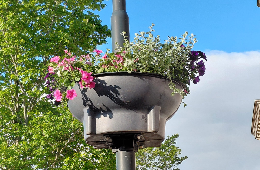 De kleurrijke bloembakken van de Dorpstafel hangen weer