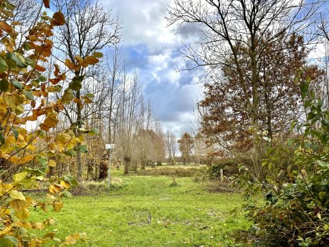 Schilderachtig  Fenderts Bos / Jan Gorter