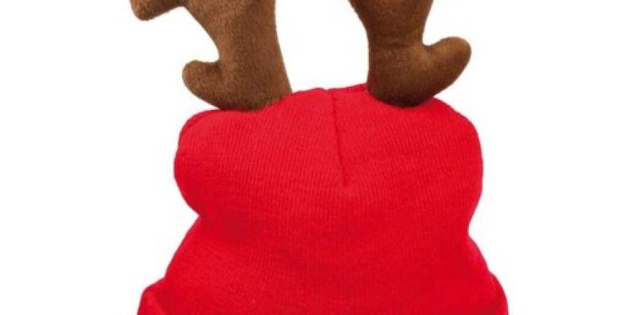 IJsmutsfestijn zwembad de Oester