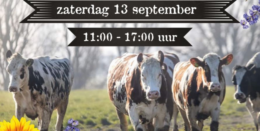 Streekmarkt Torenpolderkaas