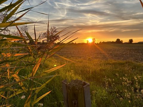Zonsondergang / Jan Gorter