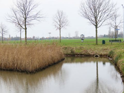 Het benkske met weerspiegeling van de boom / Els Leijten Helmons