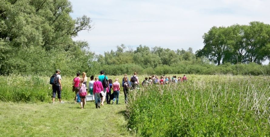 Nieuwe schoolgidsen voor de Biesbosch gezocht!