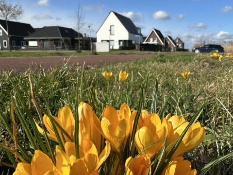Het is lente in Fijnaart / Jan Gorter