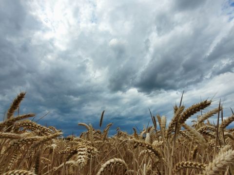 Mooie wolkenlucht / Els Leijten