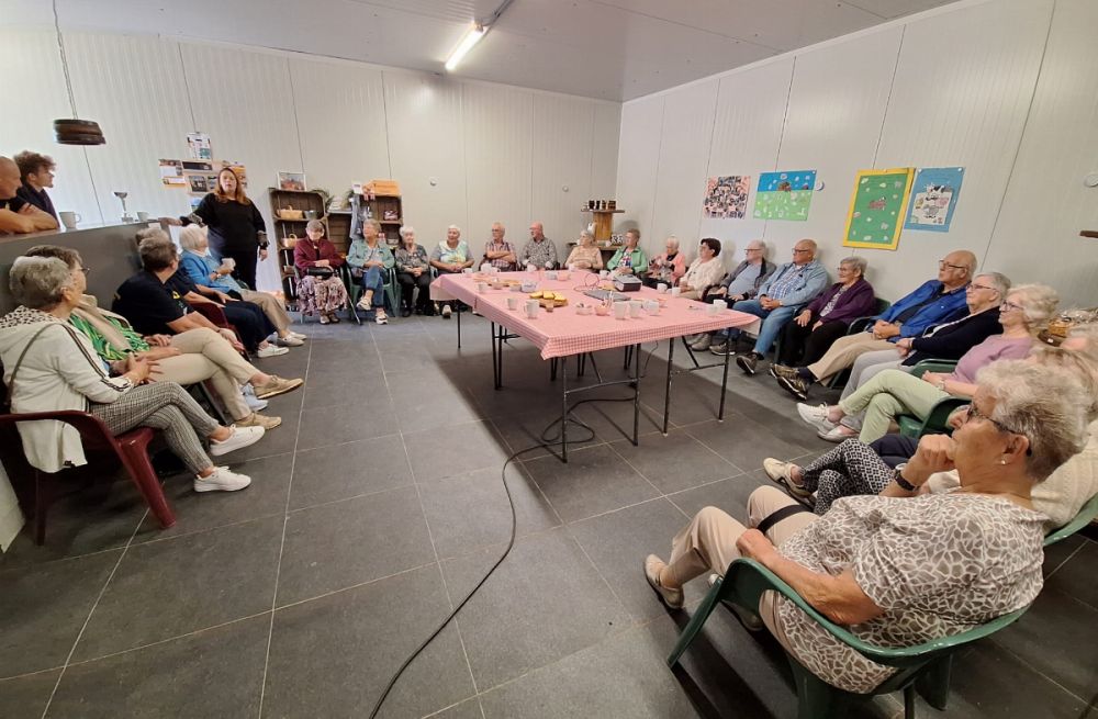 Zonnebloemactiviteit Fijnaart
